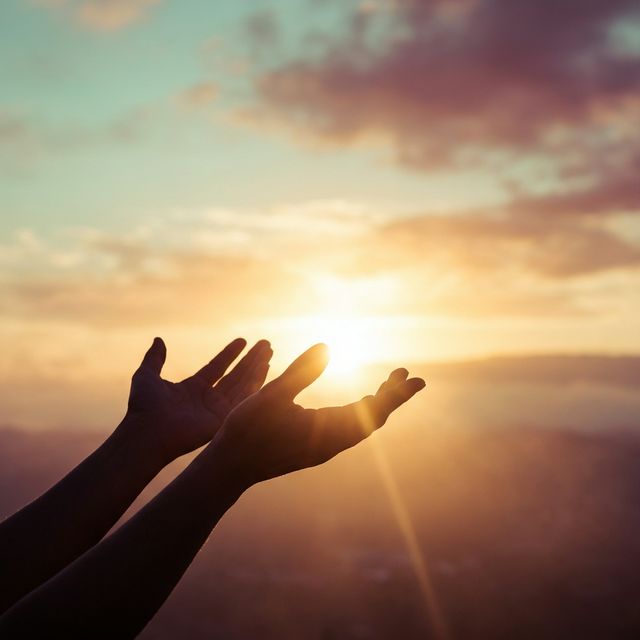 Manos elevándose hacia la luz del sol